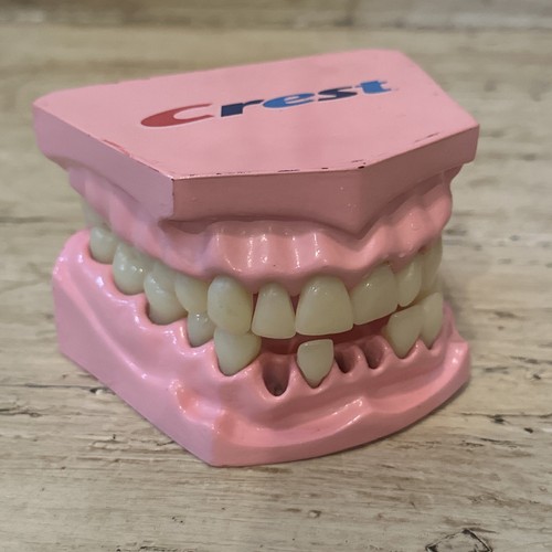 Crest dimostrativo dentale